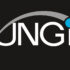 Bungie - Logo